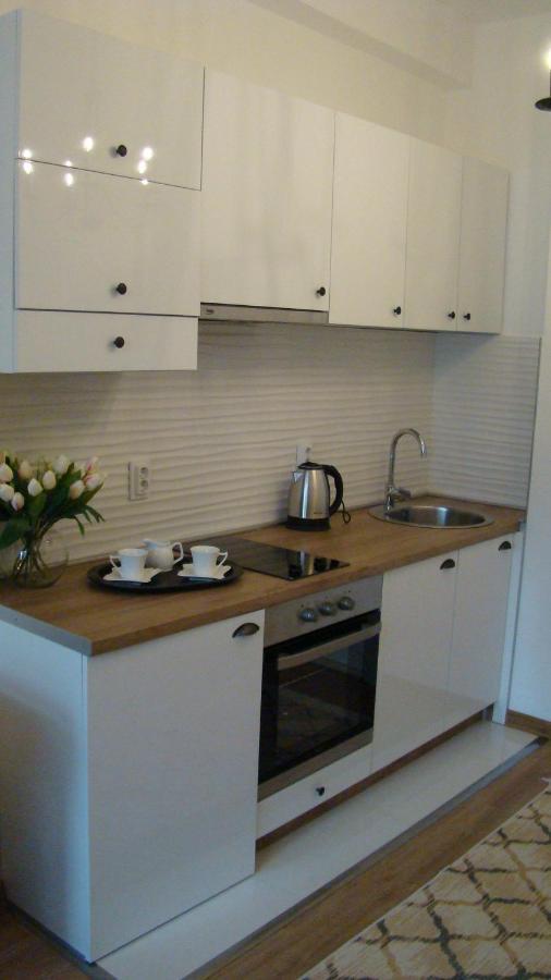 Gagovic Apartment Cetinje Exterior photo